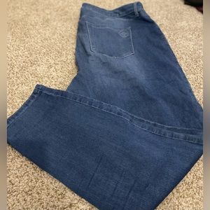 Laurie Felt Silky Easy Skinny Jean - Size 2X